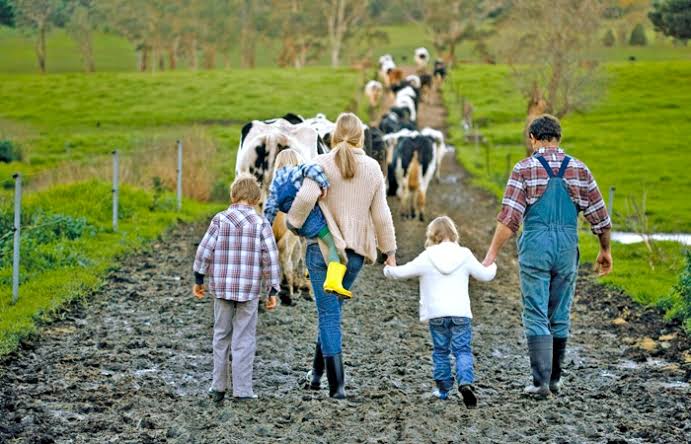 Guiding a Family Farm Through Succession Planning